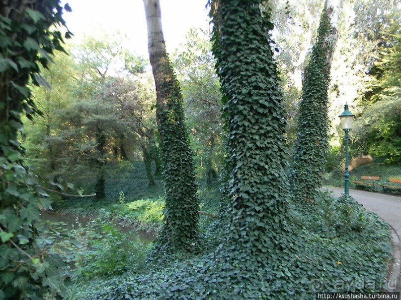 Альбом отзыва "Курпарк Оберлаа — выставка парков и садов"