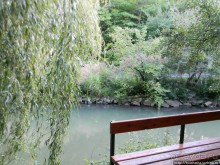 Альбом отзыва "Курпарк Оберлаа — выставка парков и садов"