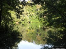 Альбом отзыва "Курпарк Оберлаа — выставка парков и садов"