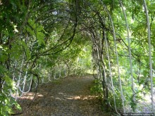 Альбом отзыва "Курпарк Оберлаа — выставка парков и садов"