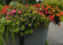 Курпарк Оберлаа — выставка парков и садов