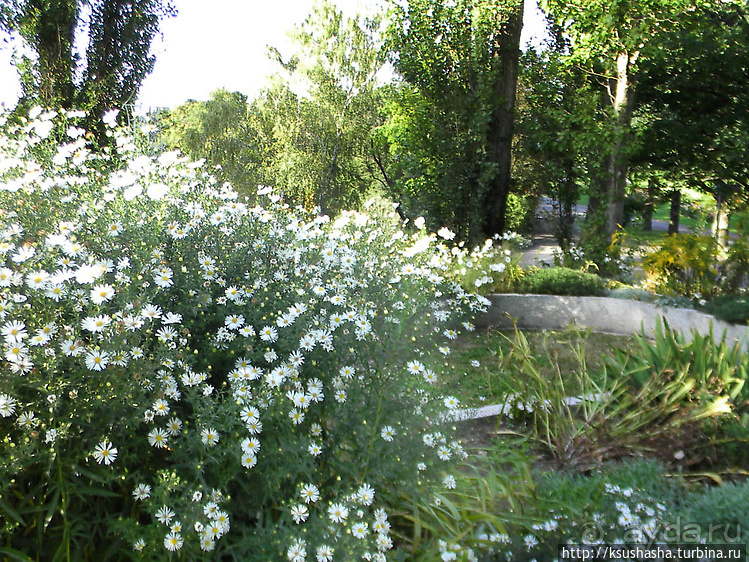 Курпарк Оберлаа — выставка парков и садов