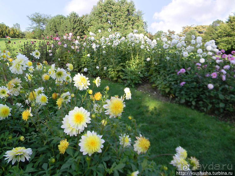 Курпарк Оберлаа — выставка парков и садов