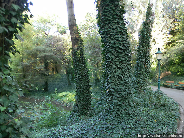 Курпарк Оберлаа — выставка парков и садов