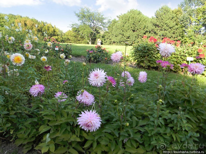 Курпарк Оберлаа — выставка парков и садов