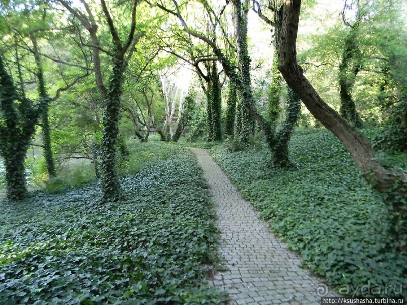 Курпарк Оберлаа — выставка парков и садов