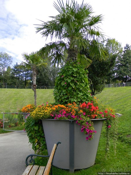 Курпарк Оберлаа — выставка парков и садов