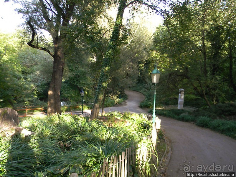 Курпарк Оберлаа — выставка парков и садов