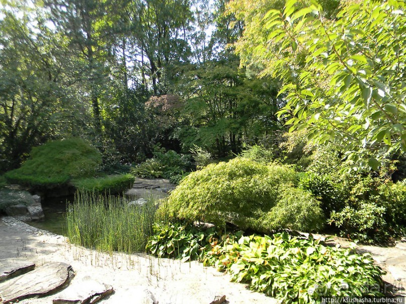 Курпарк Оберлаа — выставка парков и садов