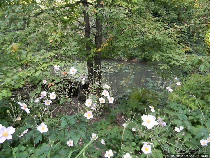 Курпарк Оберлаа — выставка парков и садов