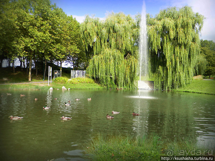 Курпарк Оберлаа — выставка парков и садов