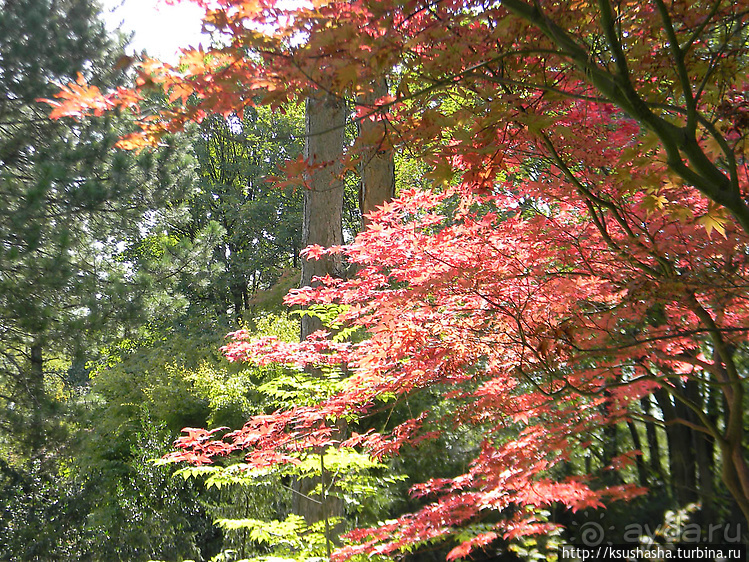 Курпарк Оберлаа — выставка парков и садов