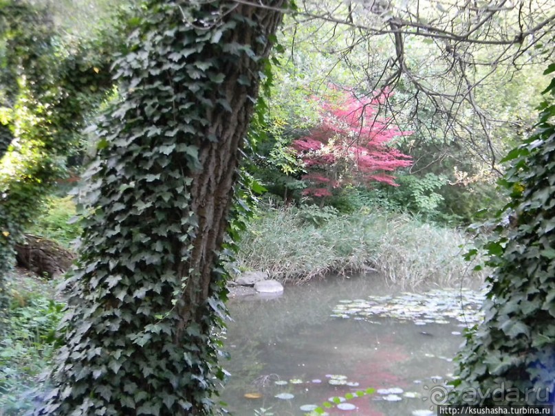 Курпарк Оберлаа — выставка парков и садов