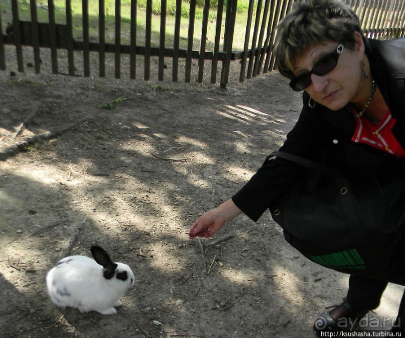 Курпарк Оберлаа — выставка парков и садов