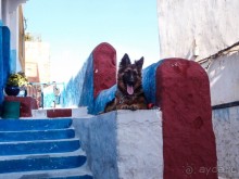 Касба Удайя — шкатулка с сюрпризом