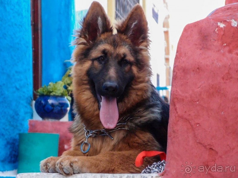 Касба Удайя — шкатулка с сюрпризом