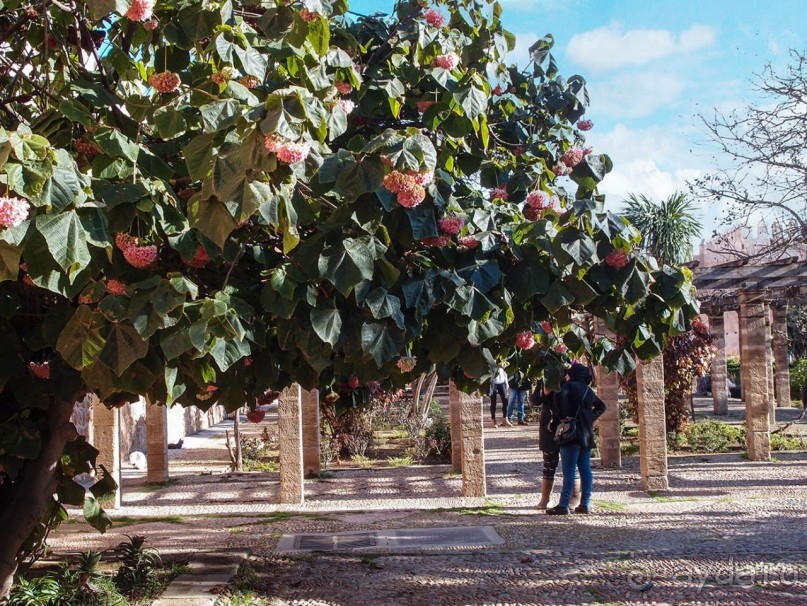 Касба Удайя — шкатулка с сюрпризом