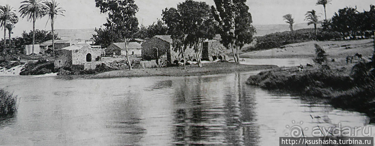 Зелёный оазис на холме Весны