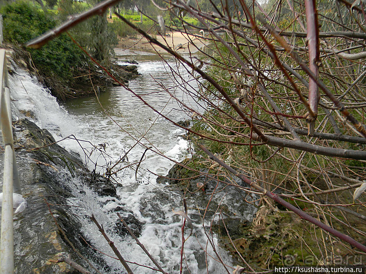 Зелёный оазис на холме Весны