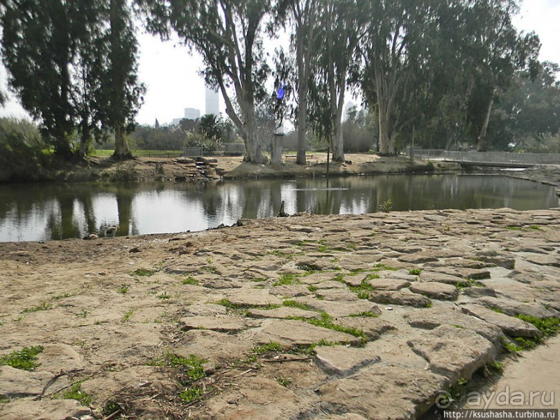 Зелёный оазис на холме Весны