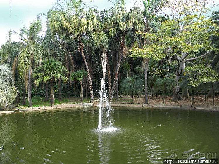 Зелёный оазис на холме Весны