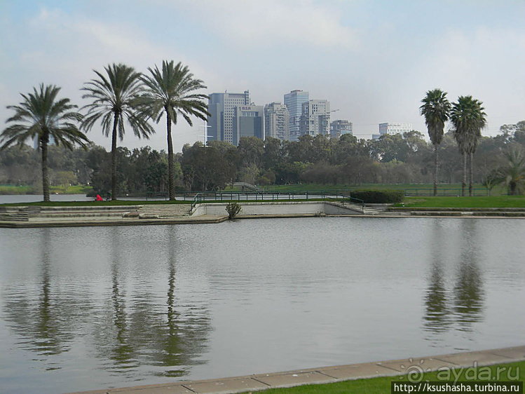 Зелёный оазис на холме Весны