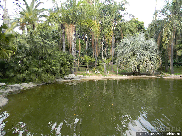 Зелёный оазис на холме Весны