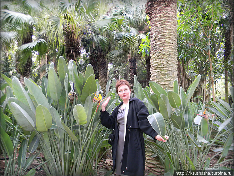 Зелёный оазис на холме Весны