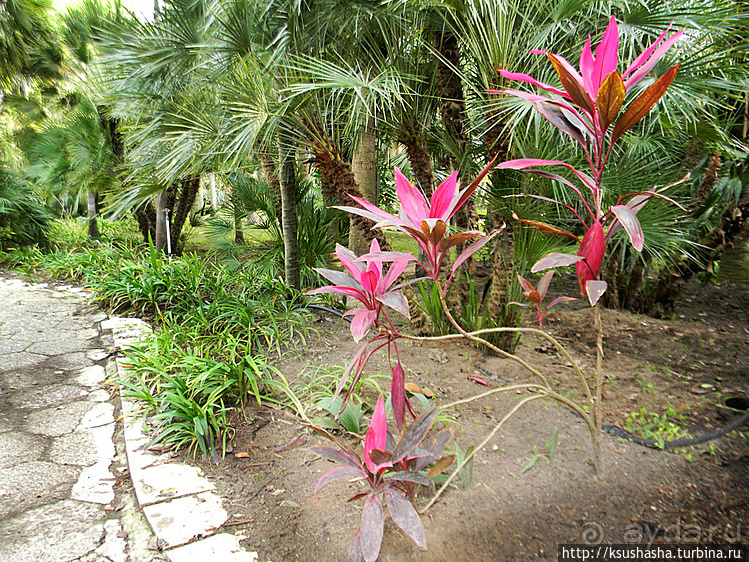 Зелёный оазис на холме Весны