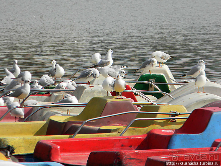 Зелёный оазис на холме Весны