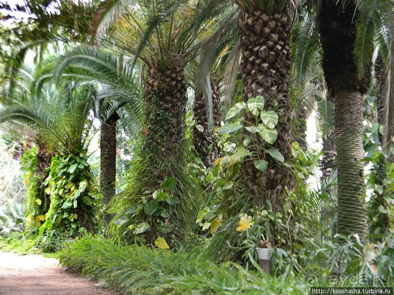 Зелёный оазис на холме Весны