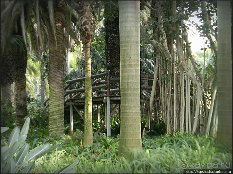 Зелёный оазис на холме Весны