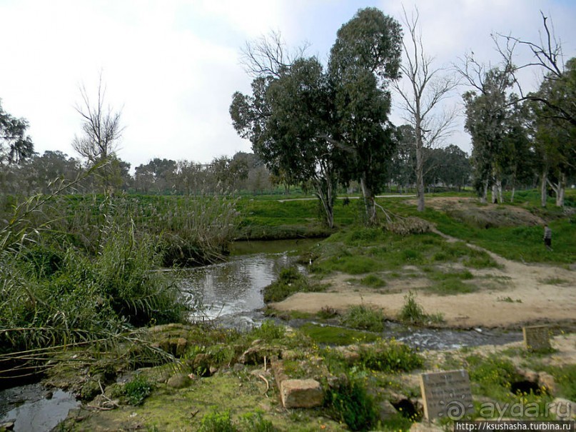 Зелёный оазис на холме Весны