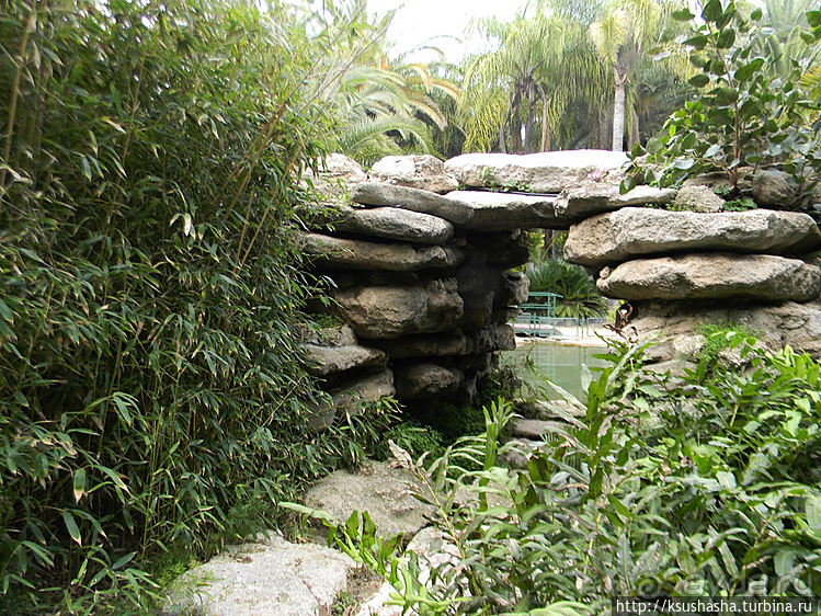 Зелёный оазис на холме Весны