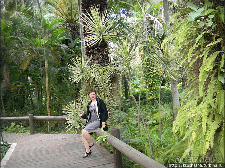 Зелёный оазис на холме Весны