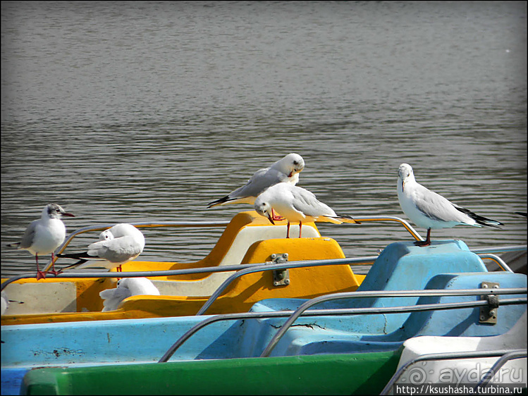 Зелёный оазис на холме Весны
