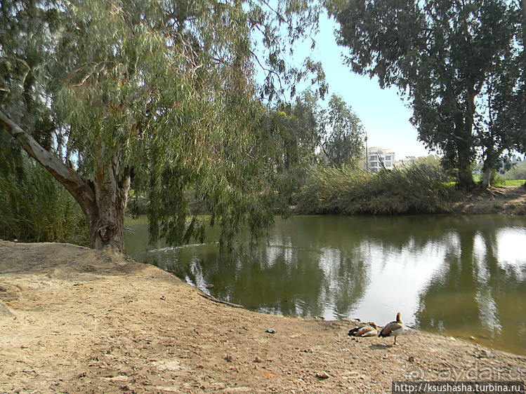 Зелёный оазис на холме Весны