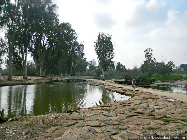 Зелёный оазис на холме Весны