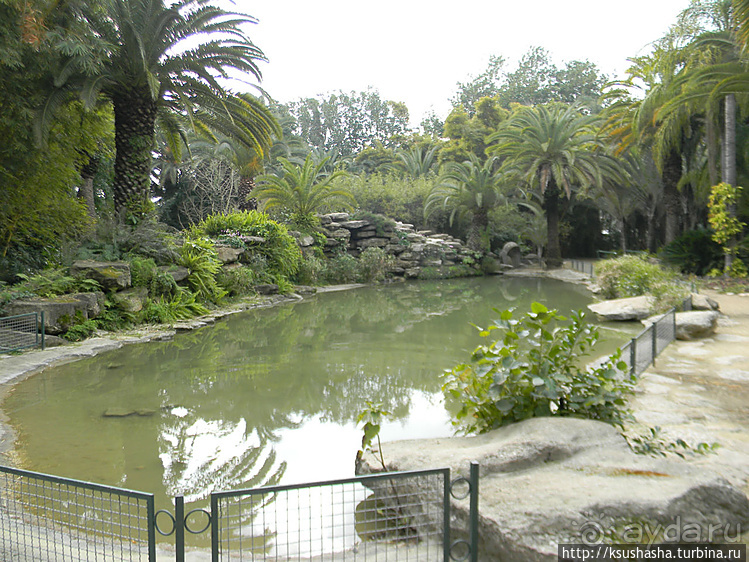 Зелёный оазис на холме Весны