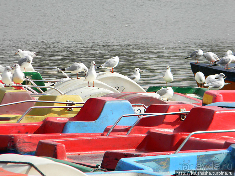 Зелёный оазис на холме Весны