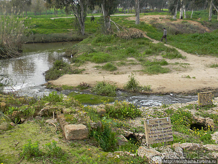 Зелёный оазис на холме Весны