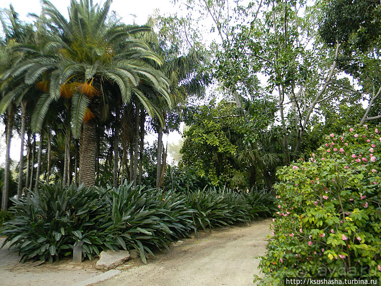 Зелёный оазис на холме Весны