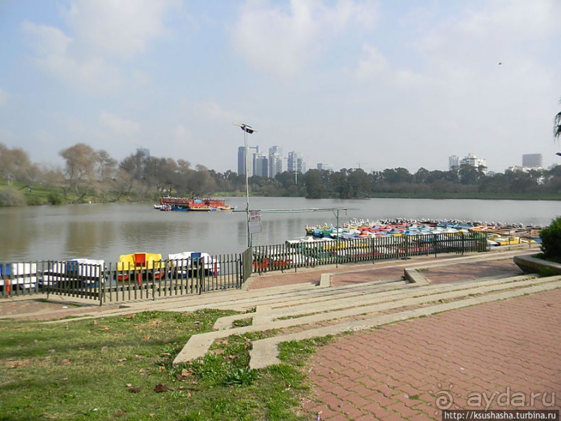 Зелёный оазис на холме Весны