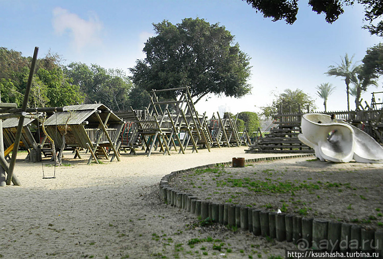 Зелёный оазис на холме Весны