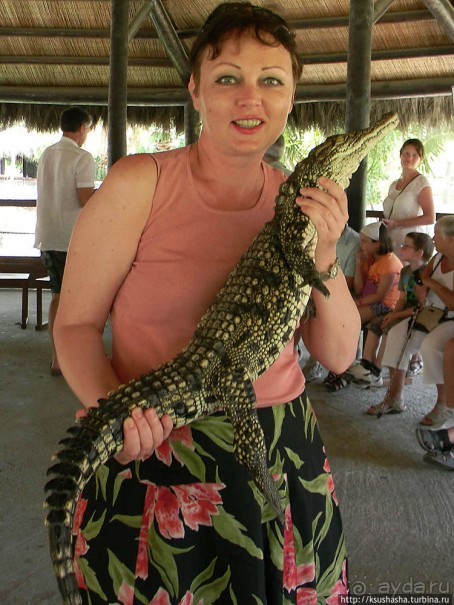 Альбом отзыва "Кокодрилы в Торремолиносе"