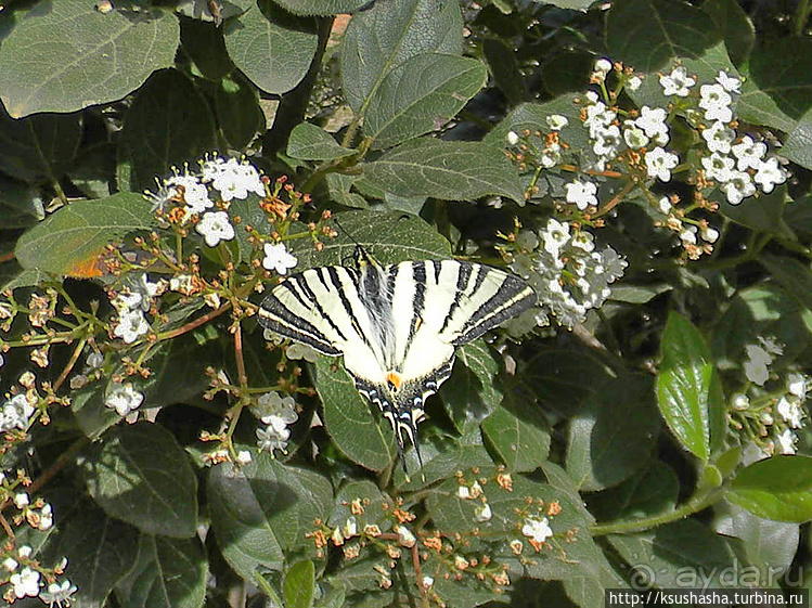 От Тесея до Гефеста