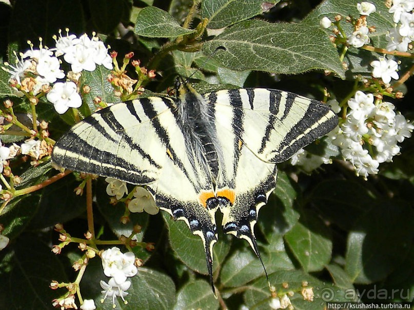 От Тесея до Гефеста