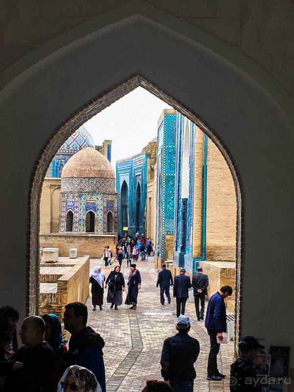 Свадьба в лазурном некрополе Свадьба в лазурном некрополе