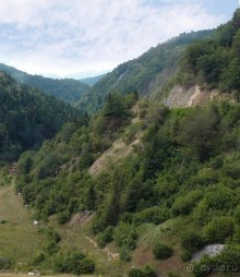 На берегу Охридского озера