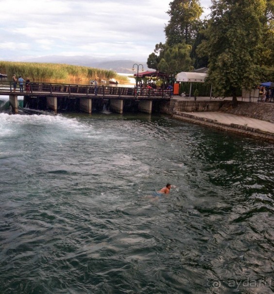 На берегу Охридского озера